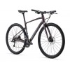 GIANT FASTROAD AR 3 Charcoal Plum 2024 (Obr. 0)