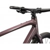 GIANT FASTROAD AR 3 Charcoal Plum 2024 (Obr. 2)