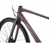 GIANT FASTROAD AR 3 Charcoal Plum 2024 (Obr. 4)