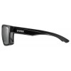 Brýle UVEX LGL 29 Black/silver (Obr. 0)